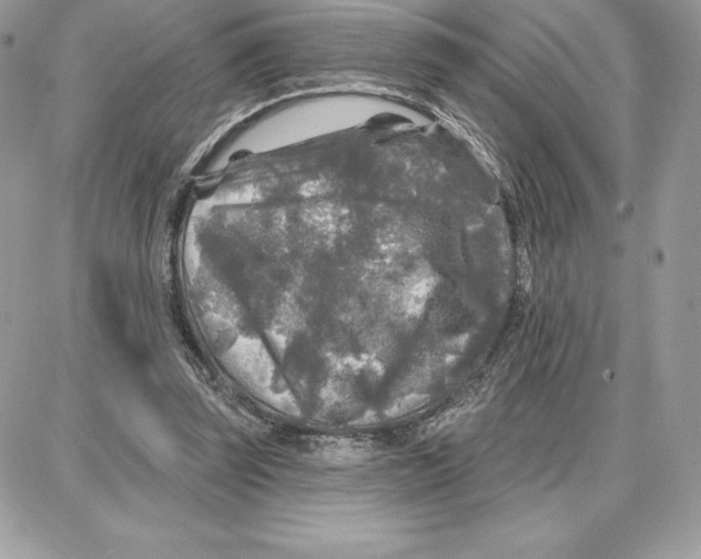 X0000087680347200706011700