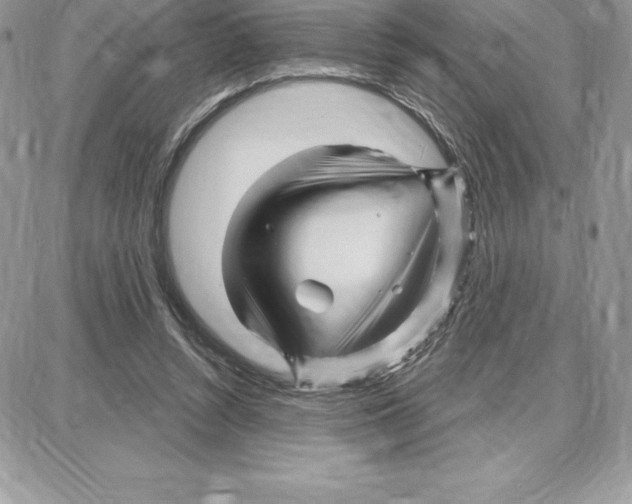 X0000087680352200706011700