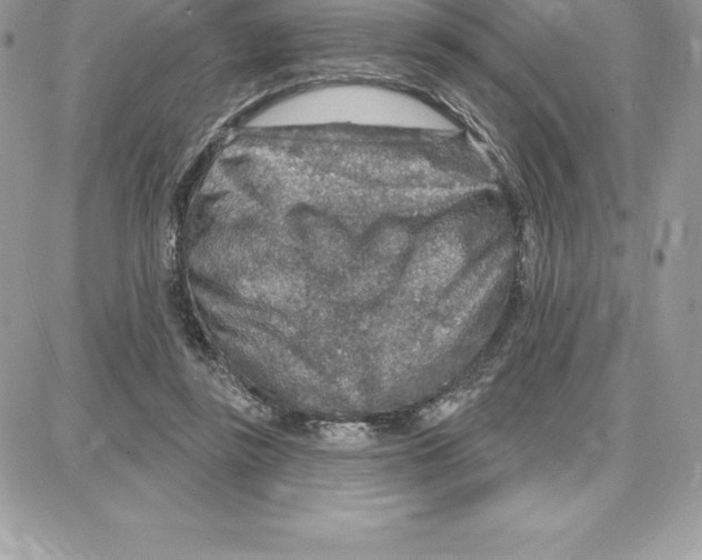 X0000087680355200706011700