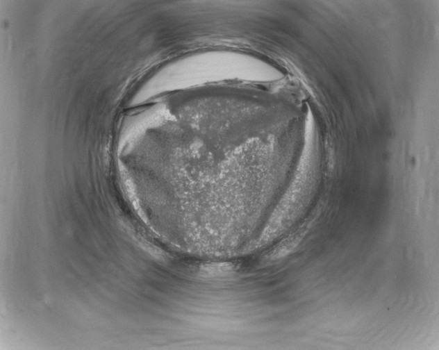 X0000087680357200706011700