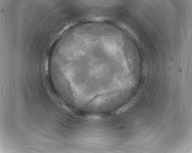 X0000087680358200706011700