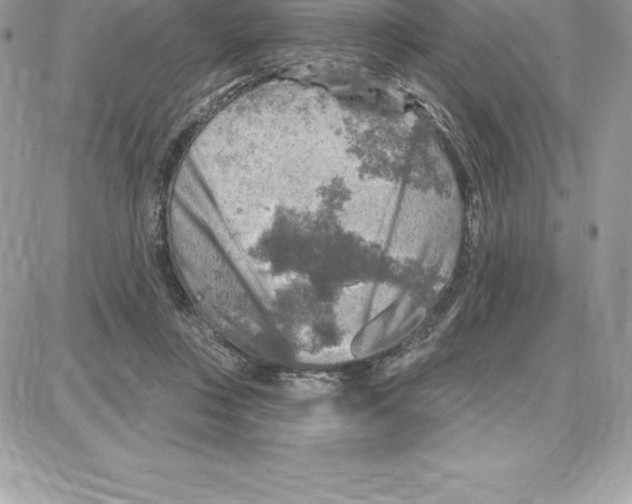 X0000087680359200706011700