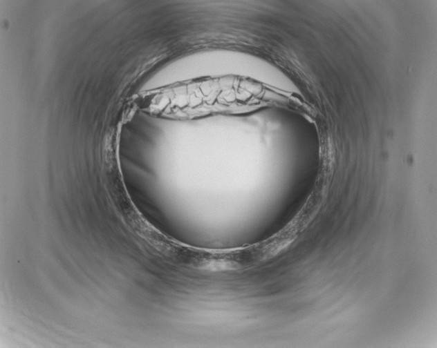 X0000087680360200706011700