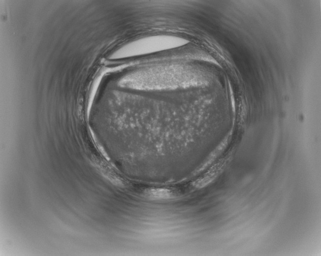 X0000087680361200706011700