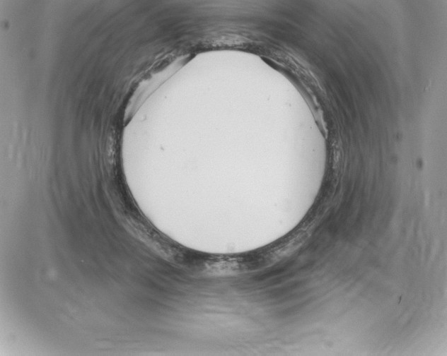 X0000087680362200706011700