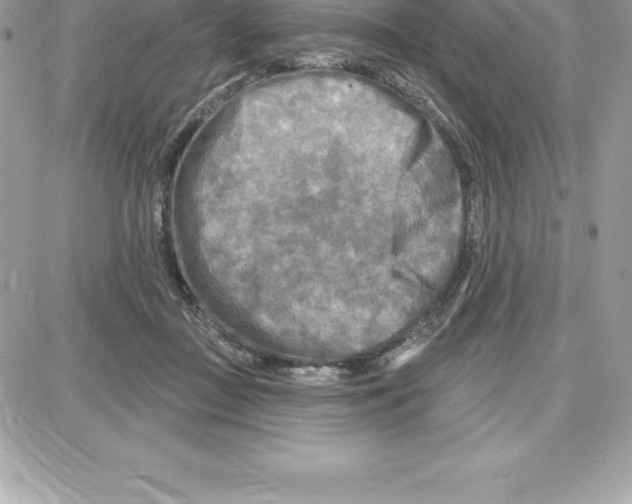 X0000087680363200706011700