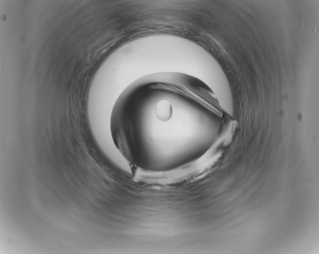 X0000087680364200706011700