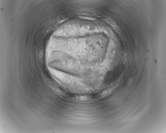 X0000087680365200706011700