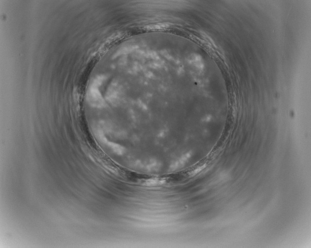 X0000087680366200706011700