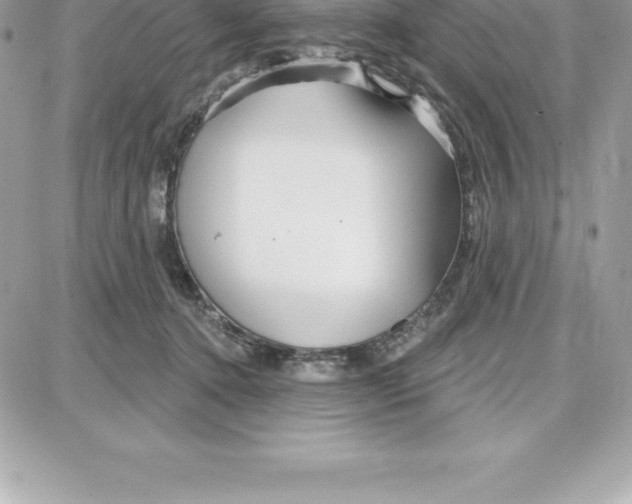 X0000087680368200706011700