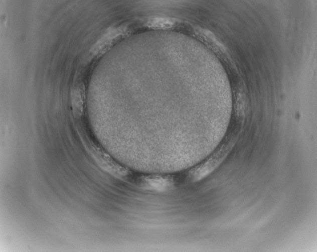 X0000087680370200706011700