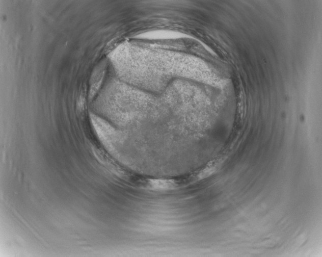 X0000087680371200706011700