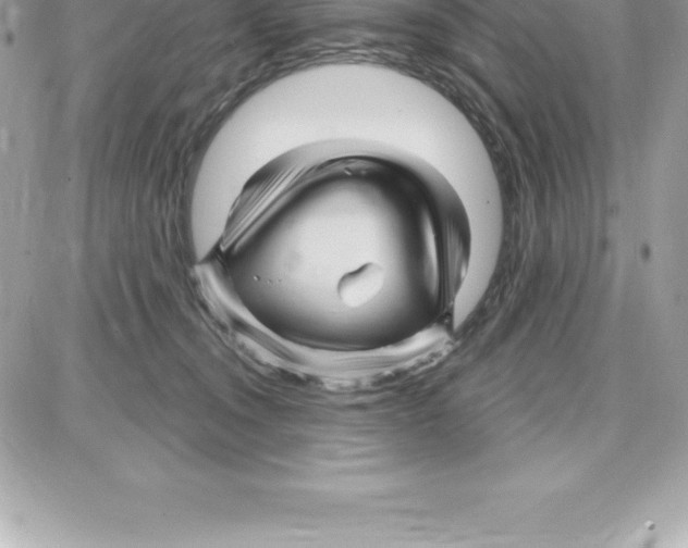 X0000087680372200706011700