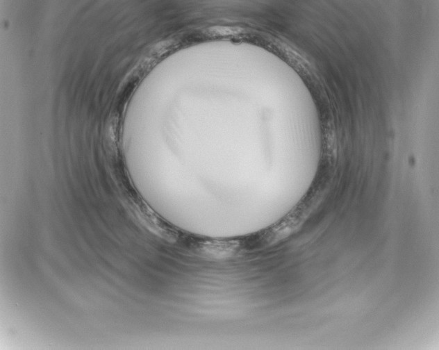 X0000087680373200706011700