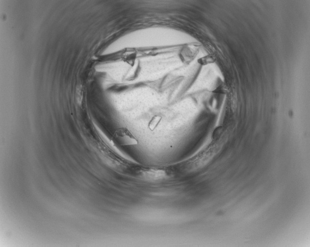 X0000087680374200706011700