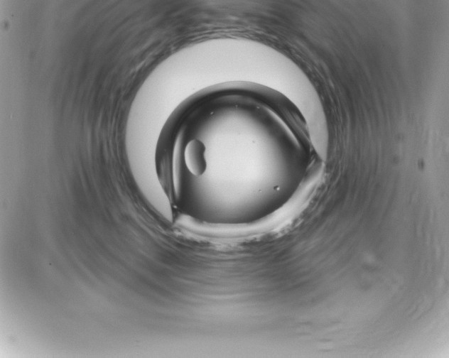 X0000087680376200706011700