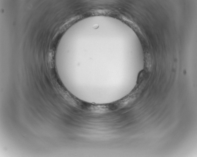 X0000087680378200706011700