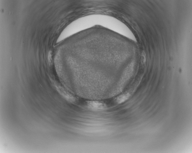 X0000087680380200706011700