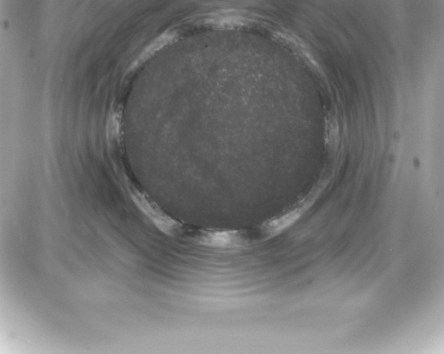 X0000087680382200706011700