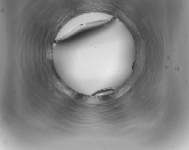 X0000087680384200706011700