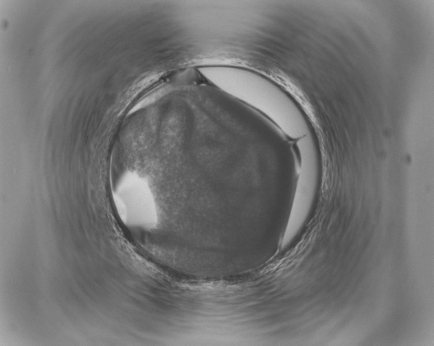 X0000087680385200706011659