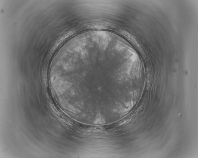 X0000087680386200706011659