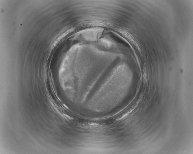 X0000087680390200706011659