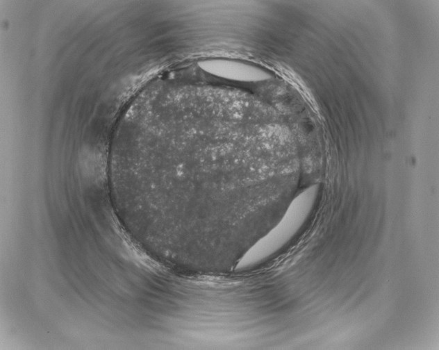 X0000087680393200706011659