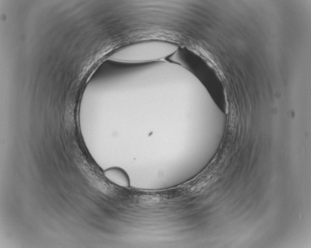 X0000087680394200706011659