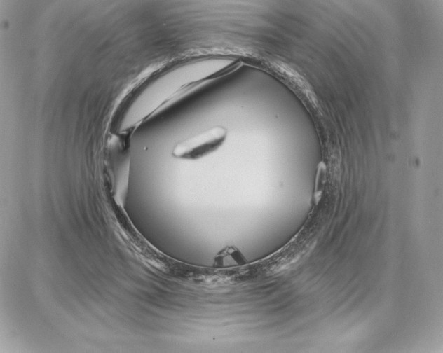 X0000087680395200706011659