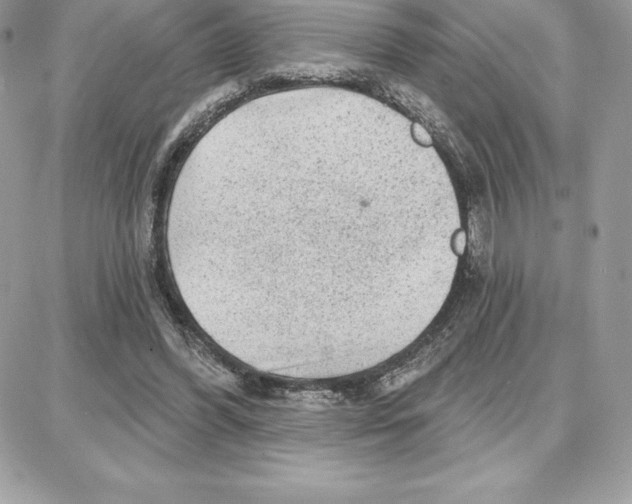 X0000087680396200706011659