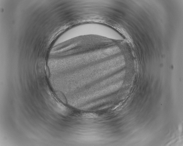 X0000087680397200706011659