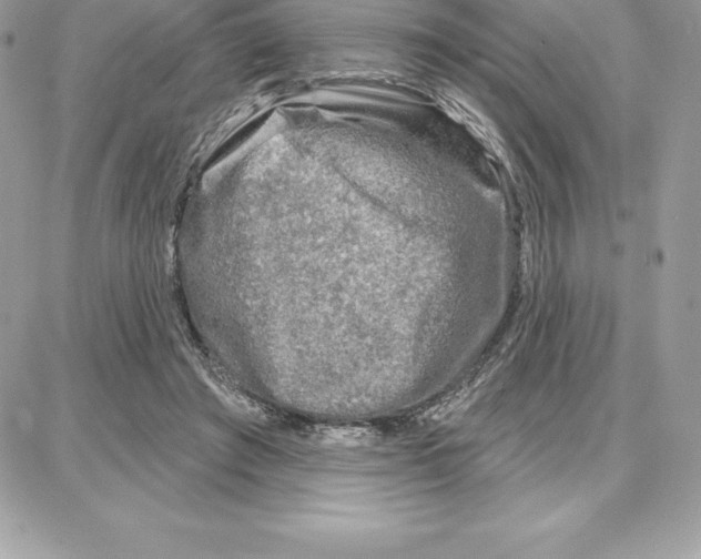 X0000087680401200706011659