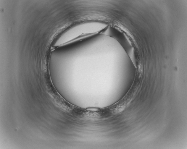 X0000087680403200706011659