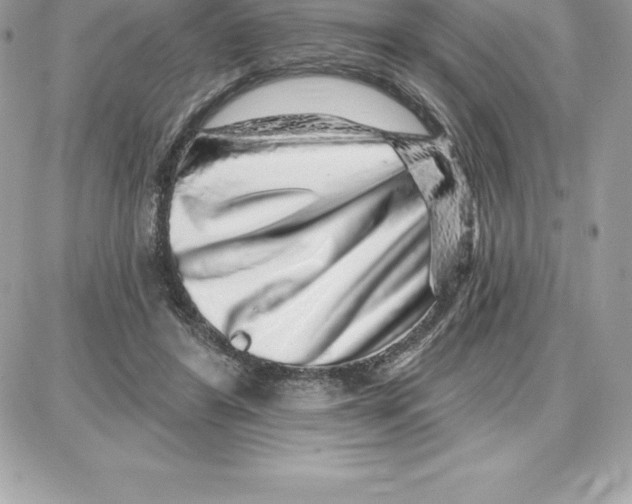 X0000087680404200706011659