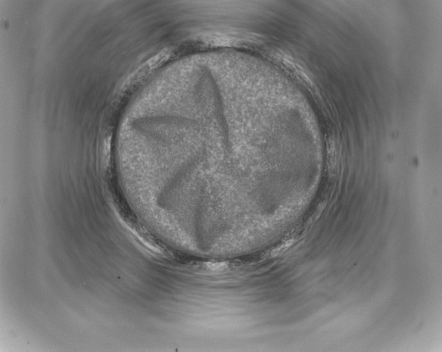 X0000087680406200706011659