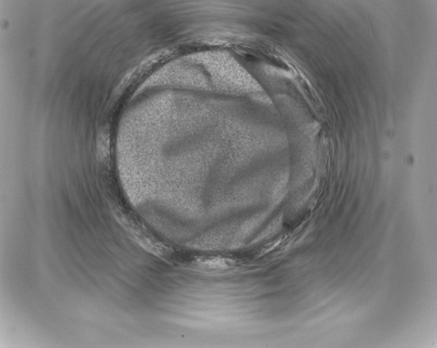 X0000087680407200706011659