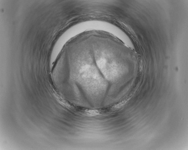 X0000087680409200706011659