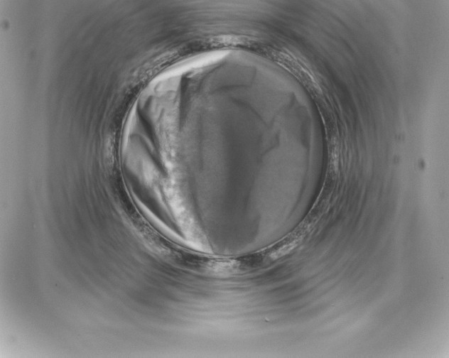 X0000087680410200706011659