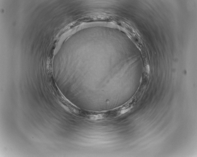 X0000087680411200706011659