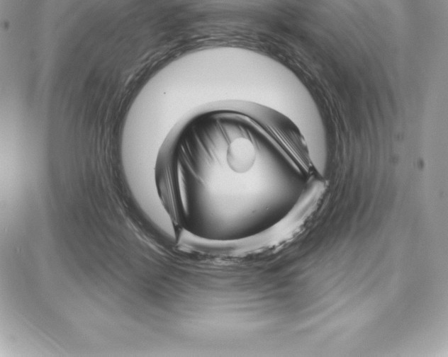 X0000087680412200706011659