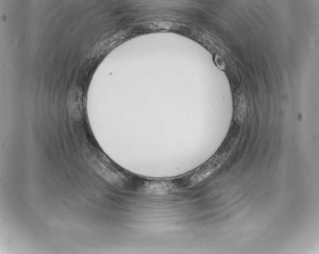 X0000087680414200706011659