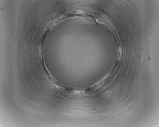 X0000087680415200706011659