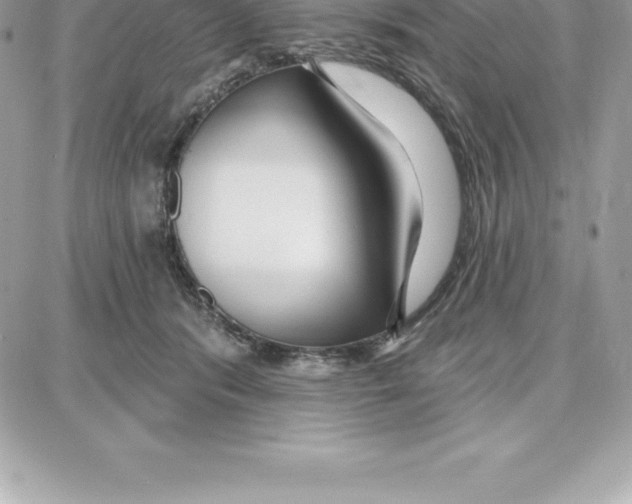 X0000087680416200706011659