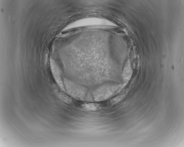 X0000087680417200706011659