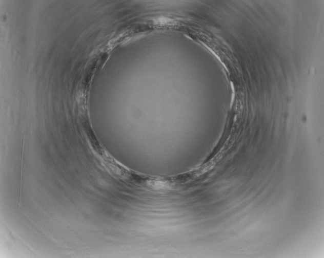 X0000087680419200706011659