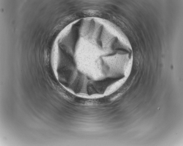 X0000087680420200706011659