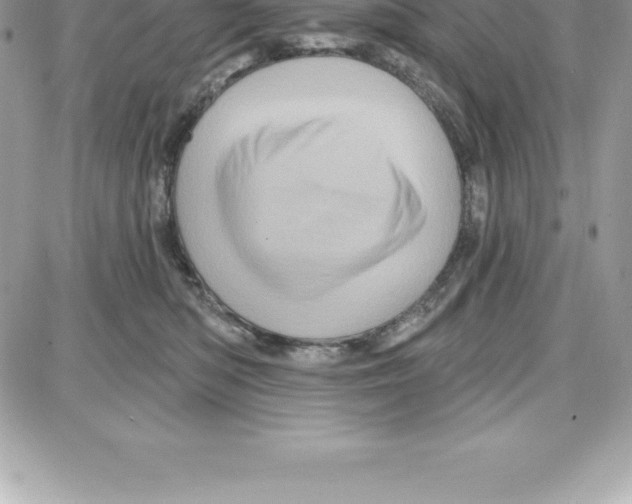 X0000087680422200706011659