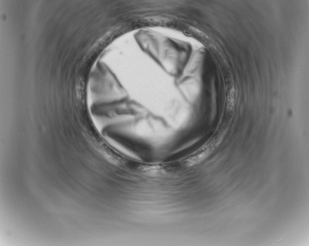 X0000087680424200706011659