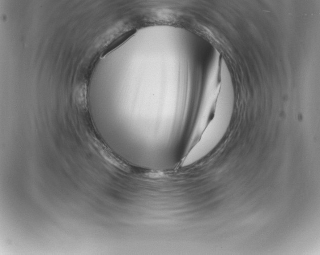 X0000087680425200706011659